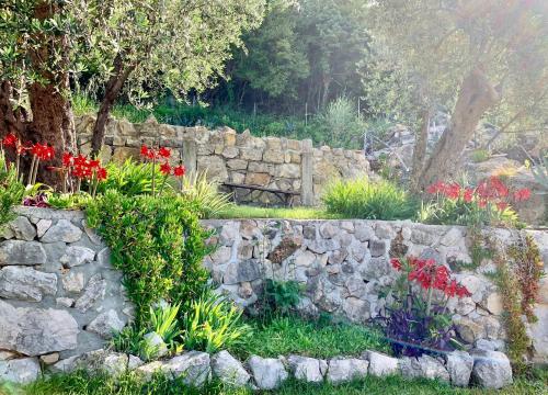 Κήπος έξω από το Apartments Mirian