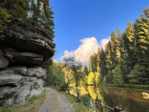 a dirt road next to a river with trees at Romantischer POD - Gegen Aufpreis mit Hot Tub - Whirlpool & Sauna in Hohenberg an der Eger
