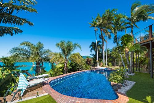 a swimming pool in a backyard with palm trees at Coral Sea Pearl in Shute Harbour