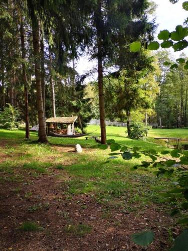 a park with trees and a picnic table in the grass at Private cosy forest cabin in Inturkė