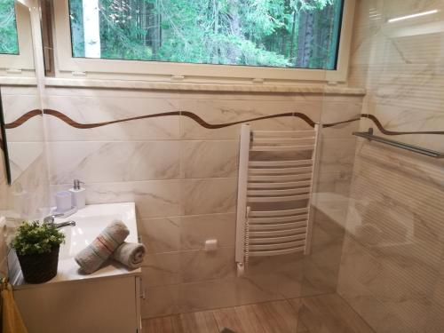 Koupelna v ubytování Apartmány LIPNOczech