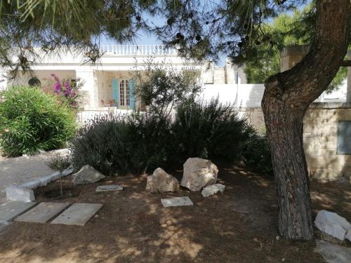 a garden with rocks and a tree and a building at Ramasole in Ostuni