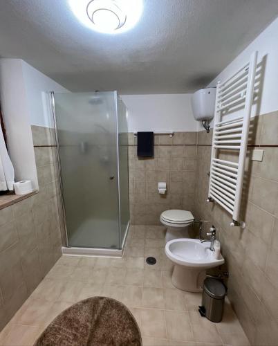 a bathroom with a shower and a toilet and a sink at B&B Fontanelle in Alviano
