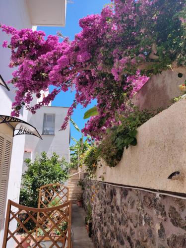 Φωτογραφία από το άλμπουμ του Hotel Villa Cecilia στην Ίσκια