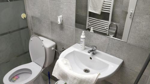 a bathroom with a white toilet and a sink at Öregház vendégház in Lakhegy