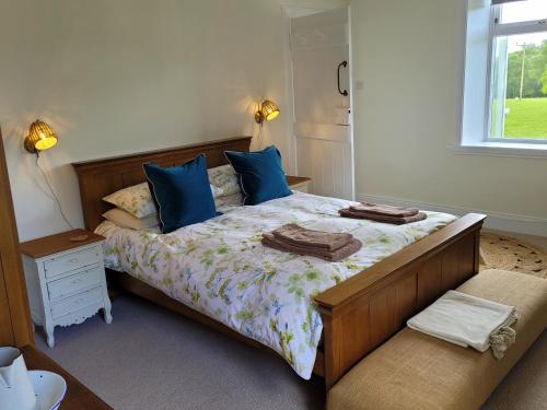 a bedroom with a bed with blue pillows and a window at Blair Cottage in Rowardennan
