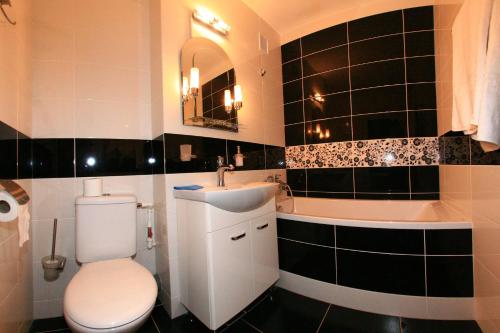 uma casa de banho com um WC branco e um lavatório. em Studio Clasic em Galaţi