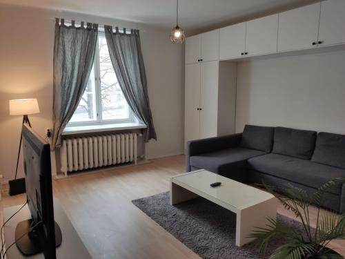 赫爾辛基的住宿－Adorable Central Apartment Helsinki，客厅配有沙发和桌子