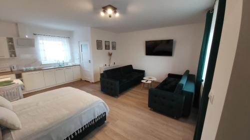 a bedroom with a bed and a couch and a kitchen at Apartament Szmaragdowy in Dąbki