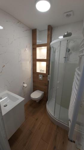 Ванна кімната в Apartament Szmaragdowy