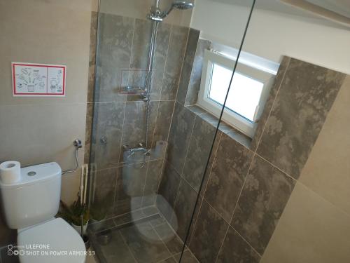 a bathroom with a shower and a toilet and a window at Casa Evanti in Sibiu