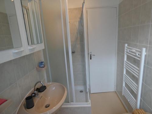 a bathroom with a sink and a shower at AGREABLE APPARTEMENT in Eaux-Bonnes