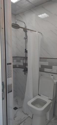 a white bathroom with a toilet and a shower at Brick House in Lahıc