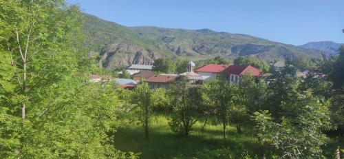 a group of houses in the middle of a mountain at Brick House in Lahıc