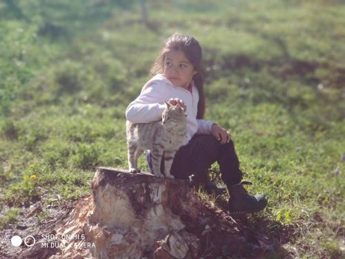 a little girl sitting on a tree stump with a cat at Brick House in Lahıc