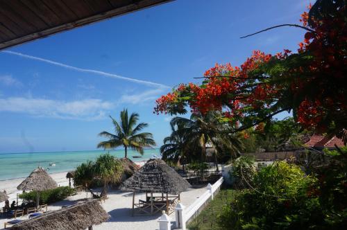 a view of a beach with umbrellas and the ocean at White Sands in Paje