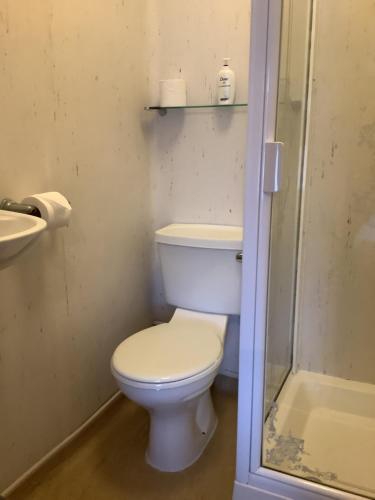 a bathroom with a toilet and a shower at Dover's Restover Bed & Breakfast in Dover
