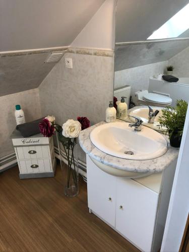 une salle de bain avec un lavabo et des toilettes dans l'établissement appartement romantique tout confort 4 personnes, à Boulogne-sur-Mer