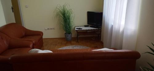 a living room with a couch and a television at Apartma Rogaska riviera in Rogaška Slatina