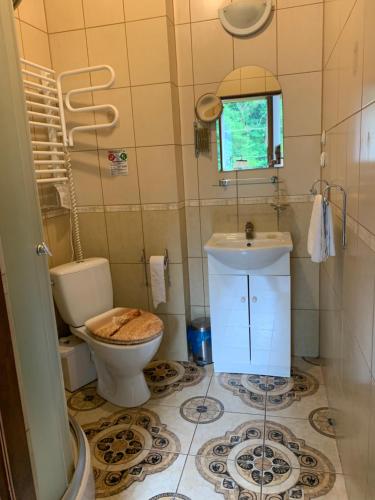 ein Bad mit einem WC und einem Waschbecken in der Unterkunft Apartamenty pokoje "MARIA" in Lądek-Zdrój