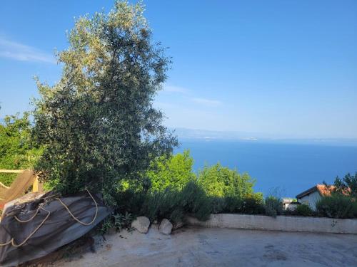 Φυσικό τοπίο κοντά σε αυτό το διαμέρισμα