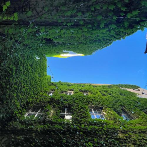 a building covered in green ivy with a blue sky at Hotel Dwór Polski in Wrocław