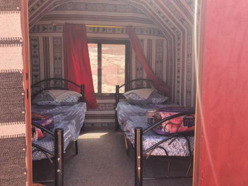 Katil atau katil-katil dalam bilik di Bedouin Family Camp
