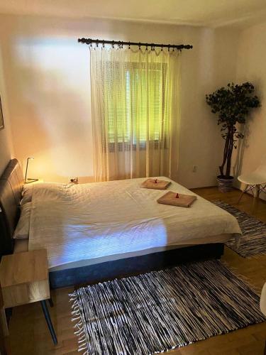 a bedroom with a bed with a window and a rug at Skupljen Resort: Enjoy the Freedom! in Vladimirci