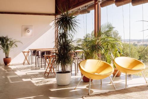 une chambre avec des chaises, des plantes en pot et des fenêtres dans l'établissement Companhia das Culturas - Ecodesign & Spa Hotel, à Castro Marim