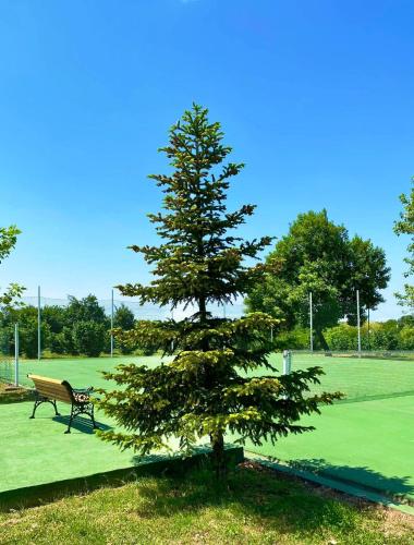 a tree and a bench in a park at Skupljen Resort: Enjoy the Freedom! in Vladimirci