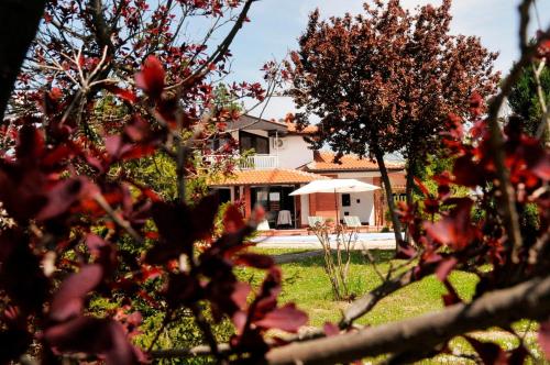 a house in the background with trees in the foreground at Skupljen Resort: Enjoy the Freedom! in Vladimirci