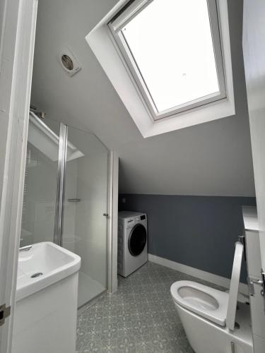 a bathroom with a toilet and a sink and a window at The Cornish Bank Flats in Falmouth