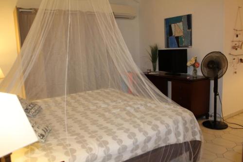 a bedroom with a bed with a mosquito net at La Valentine Résidence La Plantation Sainte Marthe in Saint-François