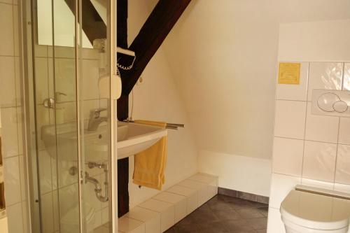 a bathroom with a shower and a sink and a toilet at Pension Webstuhl in Deizisau