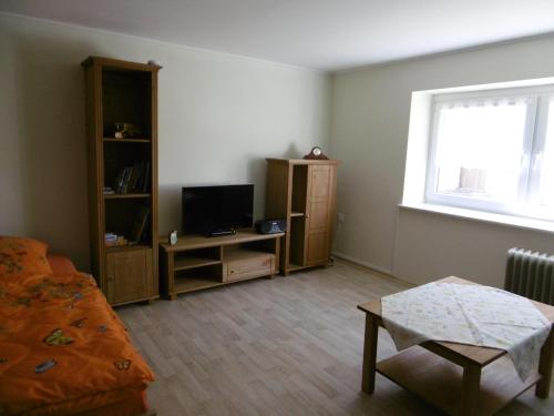 - un salon avec un canapé, une télévision et une fenêtre dans l'établissement Ferienhof mit Bergblick, à Löbau