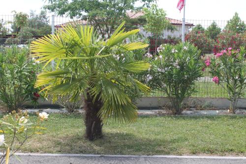 Taman di luar La Garona