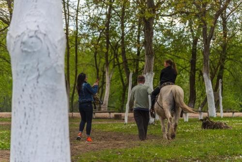 Animales en el bed & breakfast o alrededores