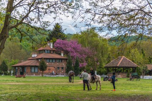 Animales en el bed & breakfast o alrededores