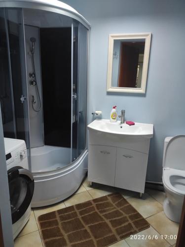 Koupelna v ubytování Romana Hotel