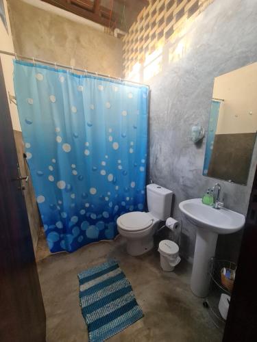 a bathroom with a toilet and a blue shower curtain at MAEVE Suíte Campo in Goiás