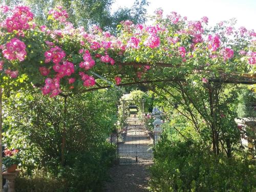 a garden with pink flowers on a pergola at Le Pavillon Tilia in Montrichard