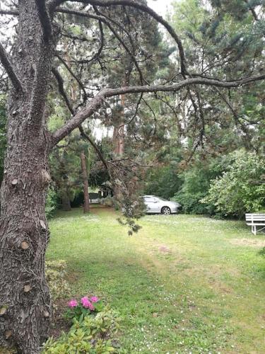 a car parked in a yard next to a tree at Le Pavillon Tilia in Montrichard