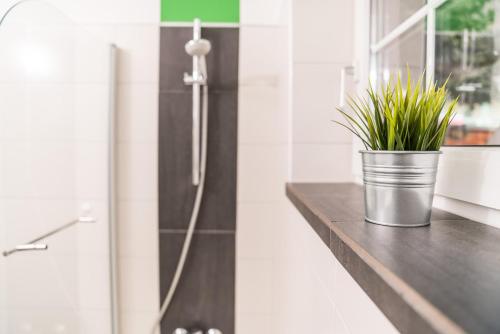 a potted plant sitting on a counter in a bathroom at Seefels Appartements in Döbriach