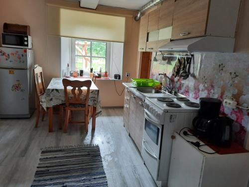 a kitchen with a stove and a table in it at Ojavere Puhkemaja in Plika