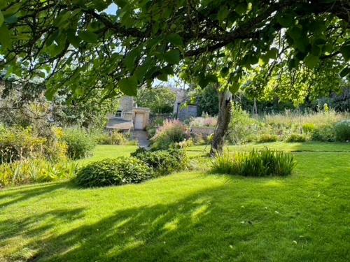 um relvado verde com uma árvore num quintal em Masons Cottage, an Idyllic retreat in an area of outstanding beauty, close to Blenheim Palace, Oxford & The Cotswolds em Stonesfield