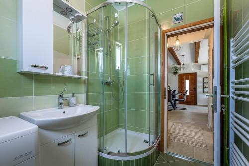 a bathroom with a sink and a shower at APARTMENT AMELIA VRPOLJE in Vrpolje