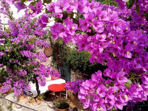 Nonina - Relax and let go