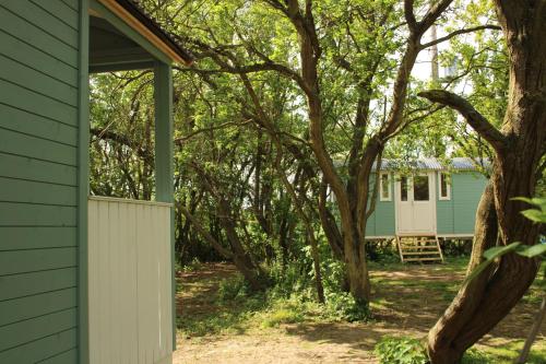 a green house with a white fence and trees at The Kestrel Shepherd Hut, Whitehouse Farm in Stowmarket