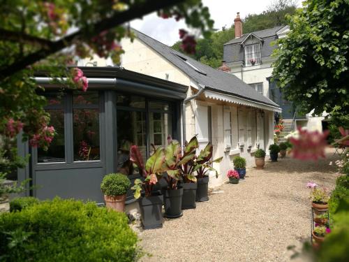 a row of potted plants in front of a house at Le Pavillon Tilia in Montrichard