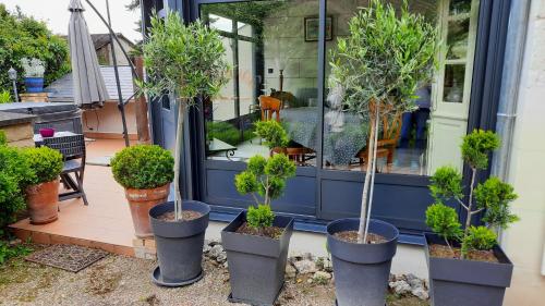 a group of potted trees in front of a house at Le Pavillon Tilia in Montrichard